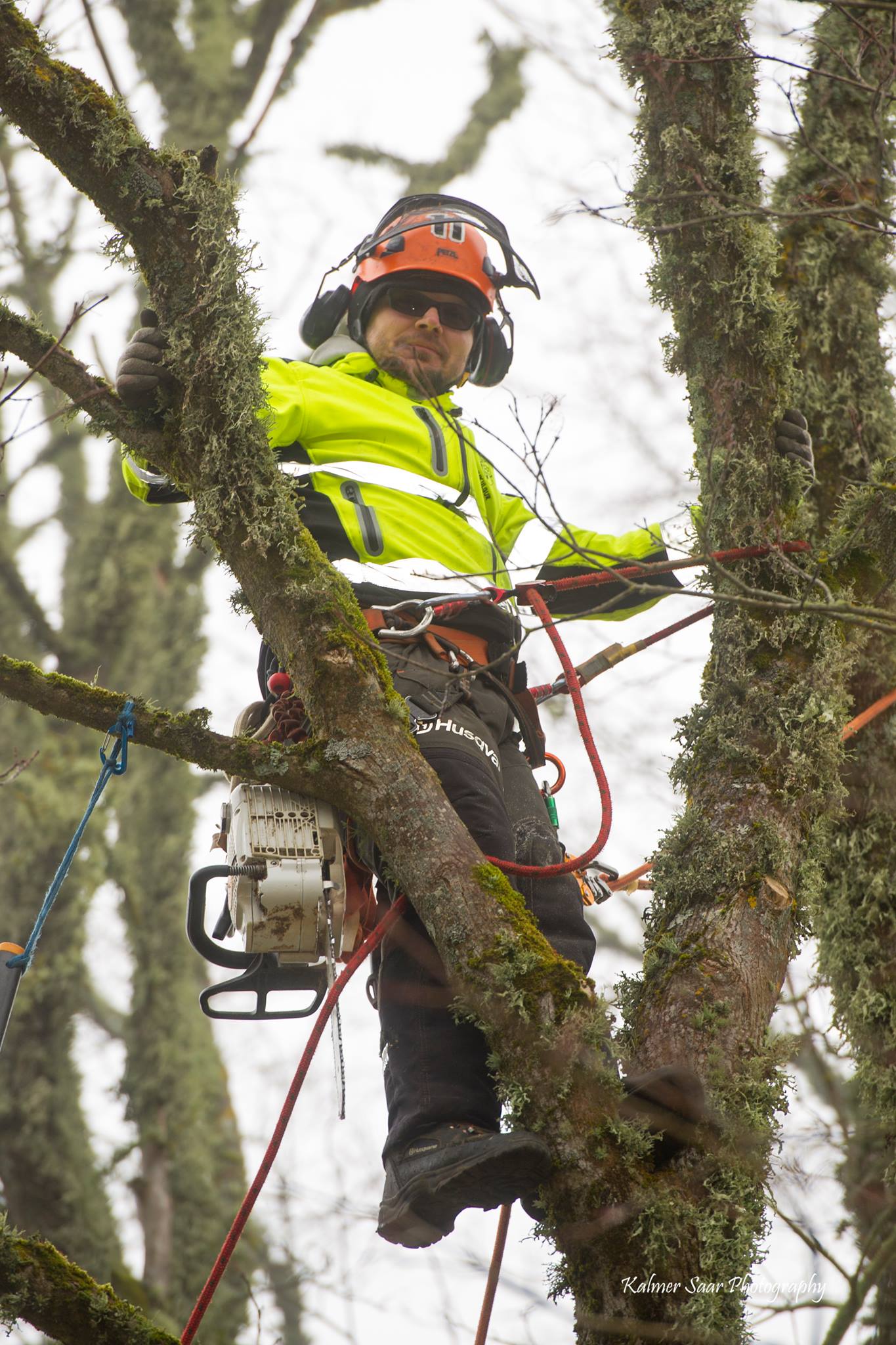 Arborist Raivo Moon