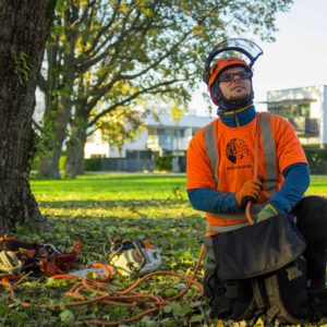 arborist