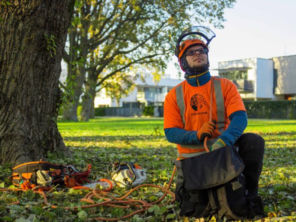 arborist