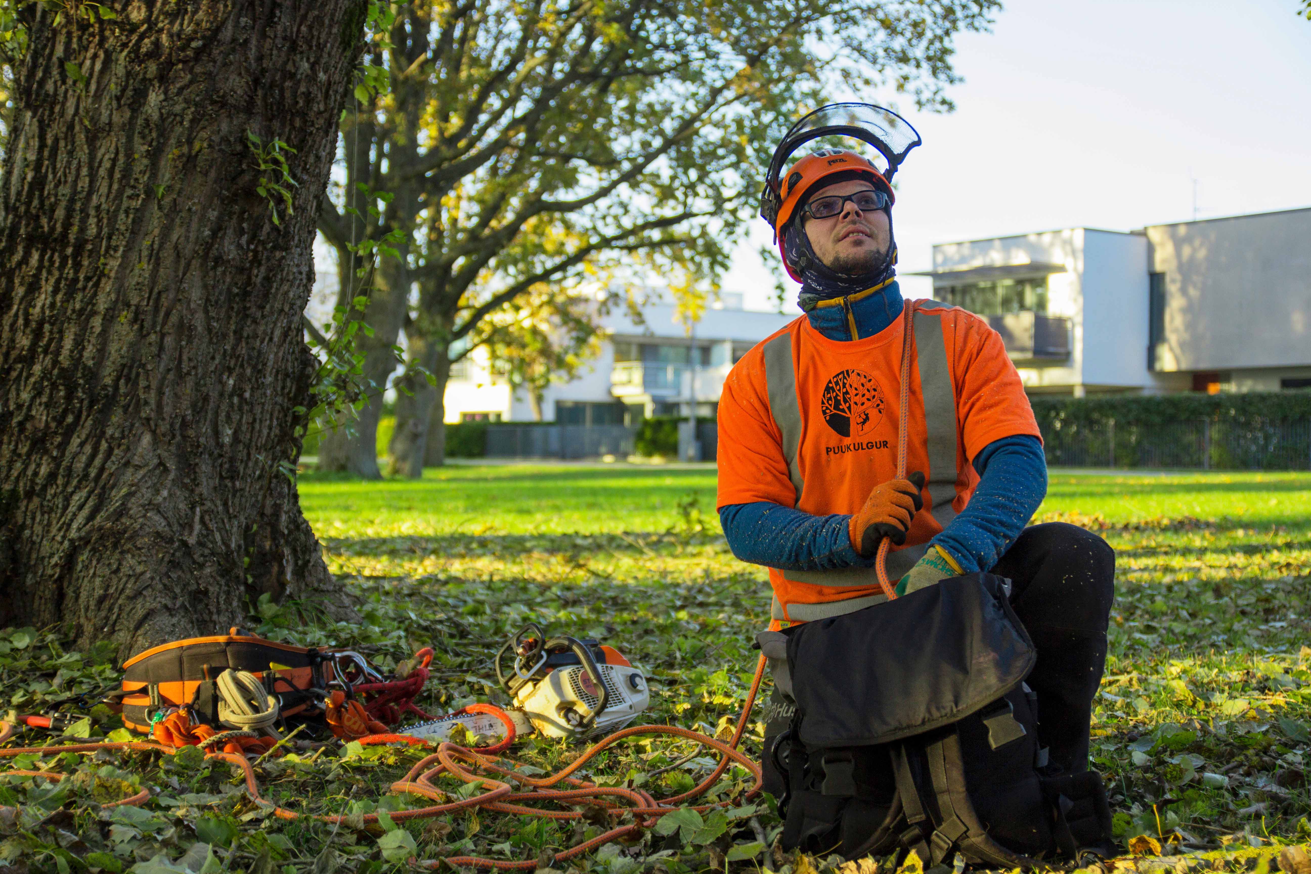 arborist