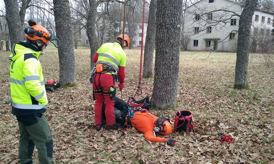 Tihemetsa arboristide koolieksam